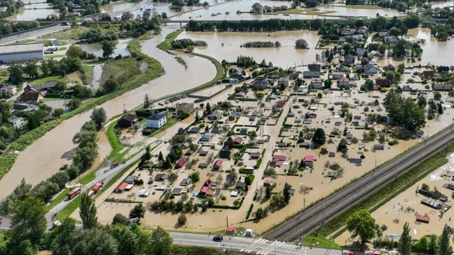    Фото: Ela73 / Shutterstock / ФОТОДОМ