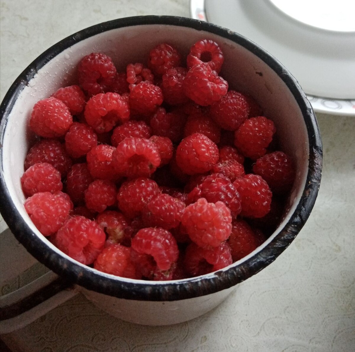 малинка в августе. Сибирь/фото автора