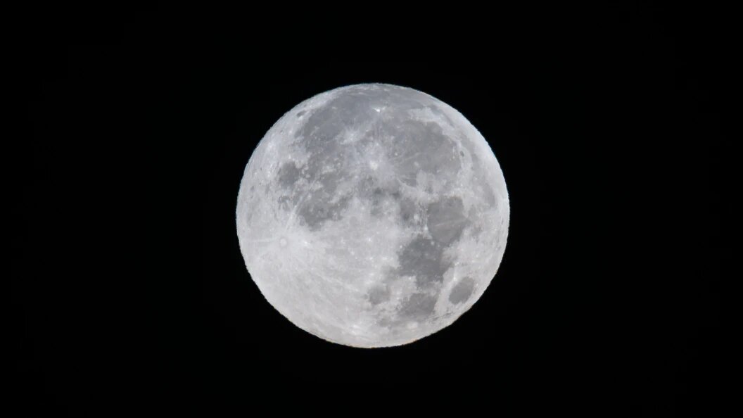    Фото: Silas Stein/dpa/Globallookpress