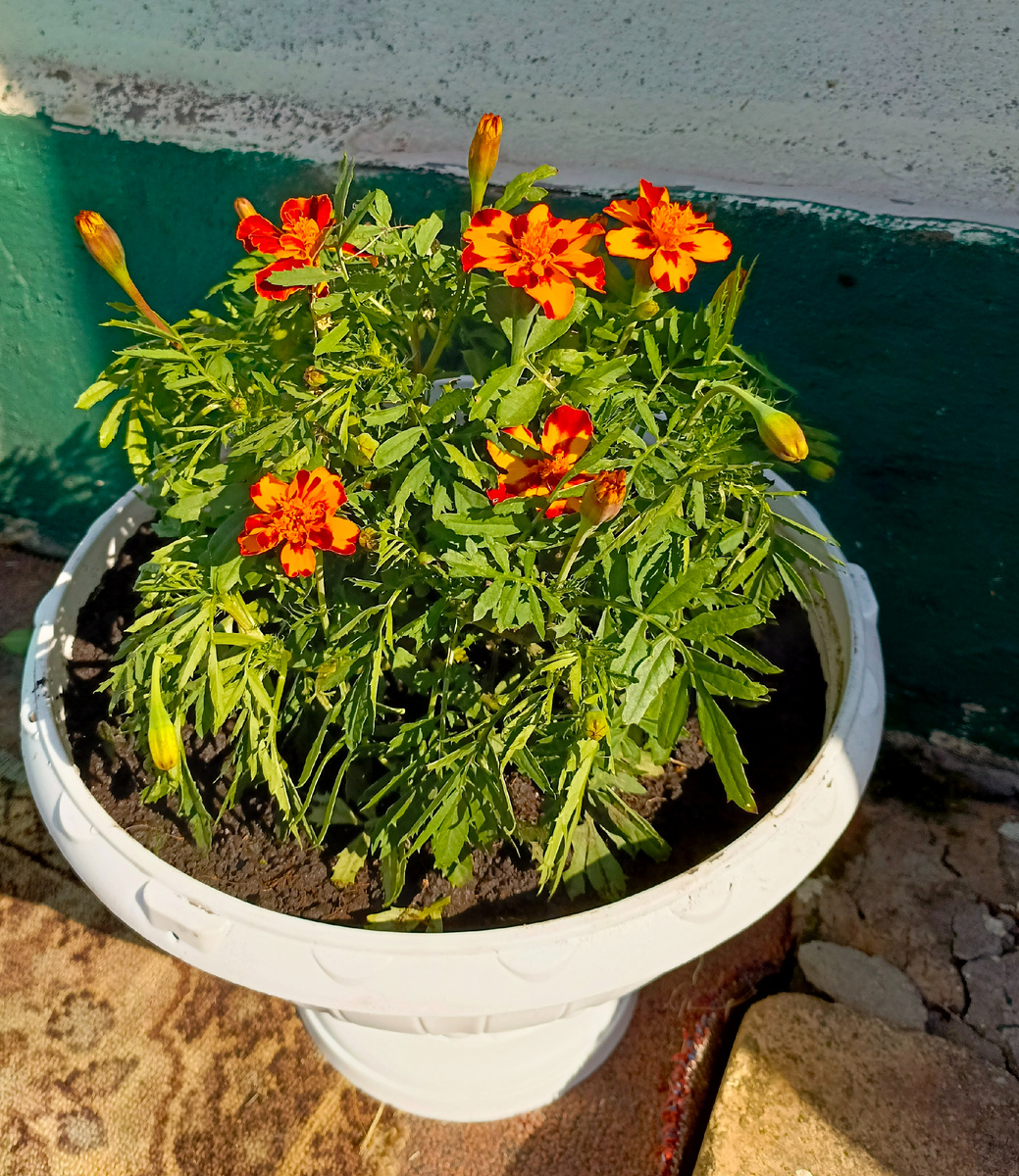 Фото автора.