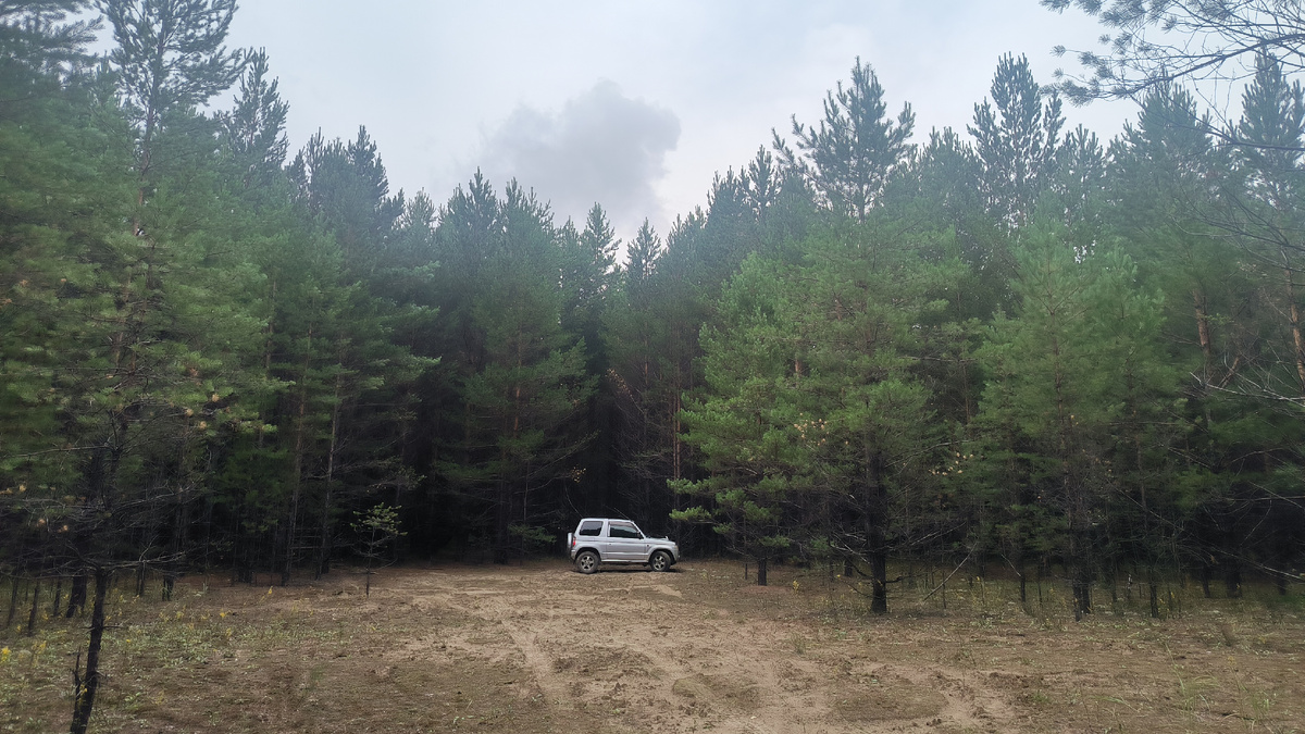 День оказался очень дождливый