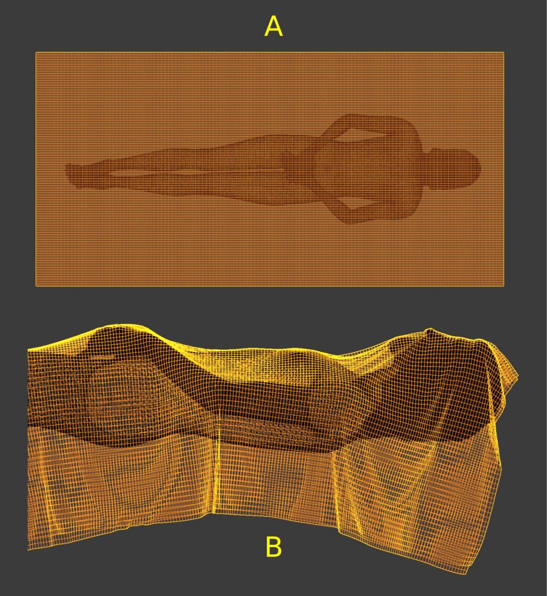    Имитация ткани. Верхняя часть: вид сверху, тканевая сетка расположена поверх тела. Нижняя часть: вид сбоку, имитация ткани, накинутая на тело. / © Cicero Moraes/Archaeometry (2025). DOI: 10.1111/arcm.70030