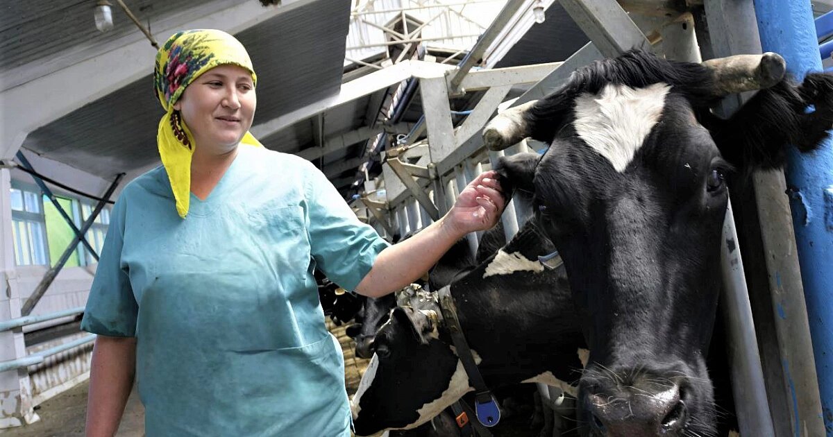 Фото: администрация Краснодарского края