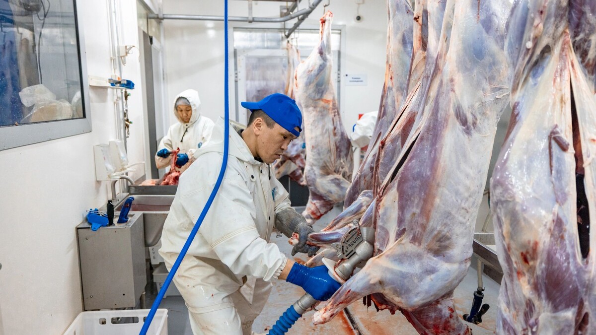    Фото: Сергей Зубков / «Ямал-Медиа»