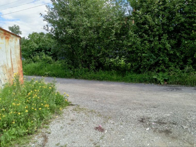 Неизвестные выбрали глухое место для нападения. Фото: предоставлено героем публикации