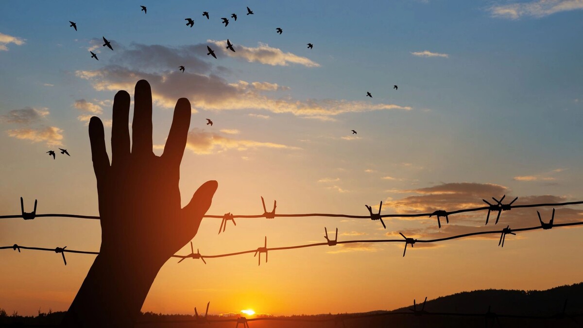    Фото: Hamara/Shutterstock/Fotodom