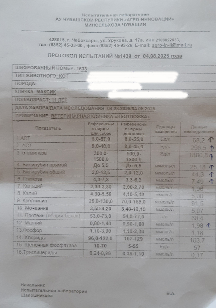 Результаты биохимического анализа крови Максика.