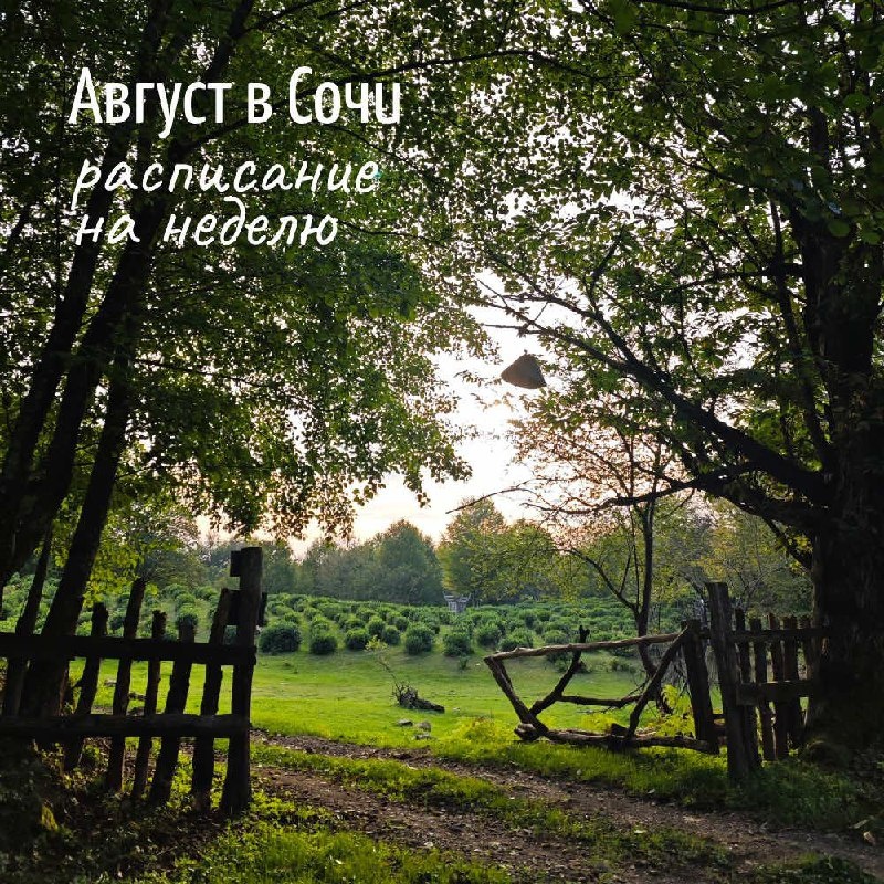 Клуб лесных гуляльщиков приглашает в лес