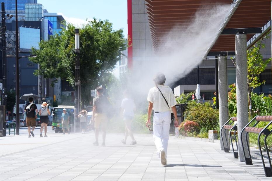    Ken Asakura/AFLO/Global Look Press