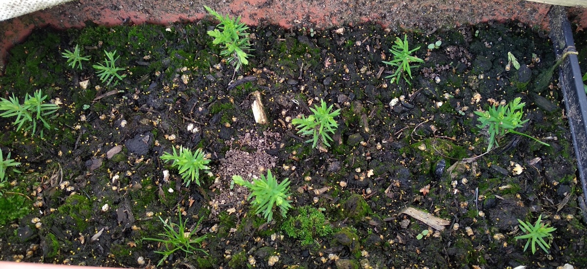 фото 02 августа 2025