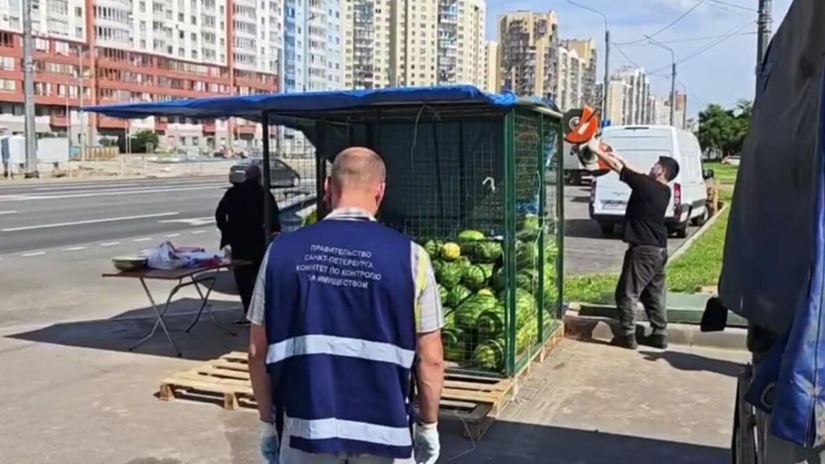    Фото: t.me/kkispb