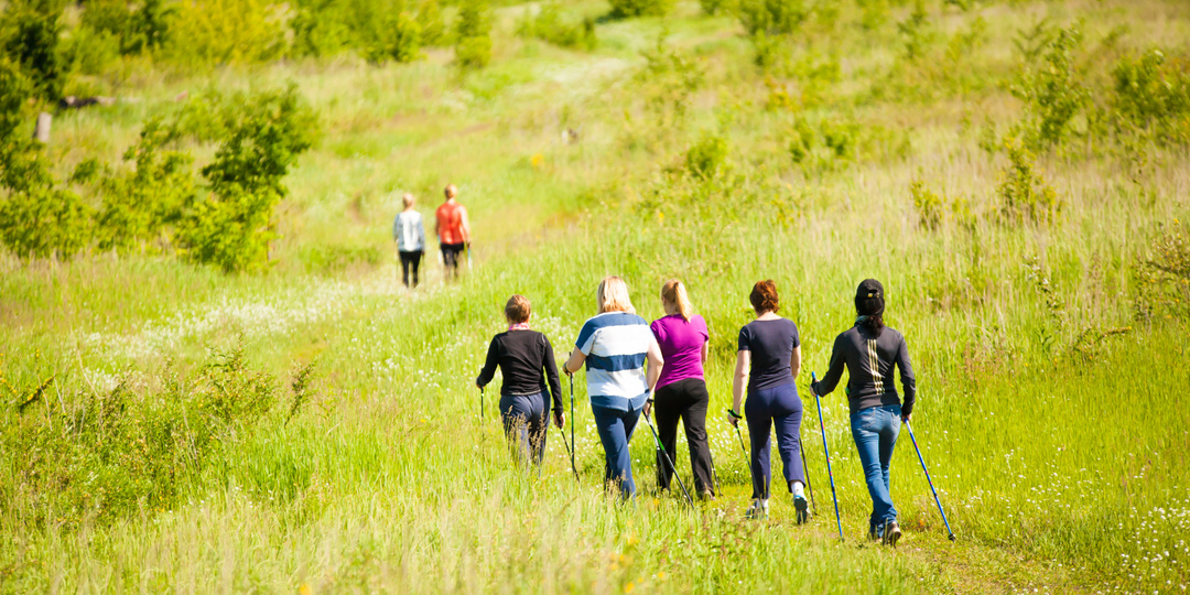 Что происходит, когда вы начинаете регулярно ходить с палками