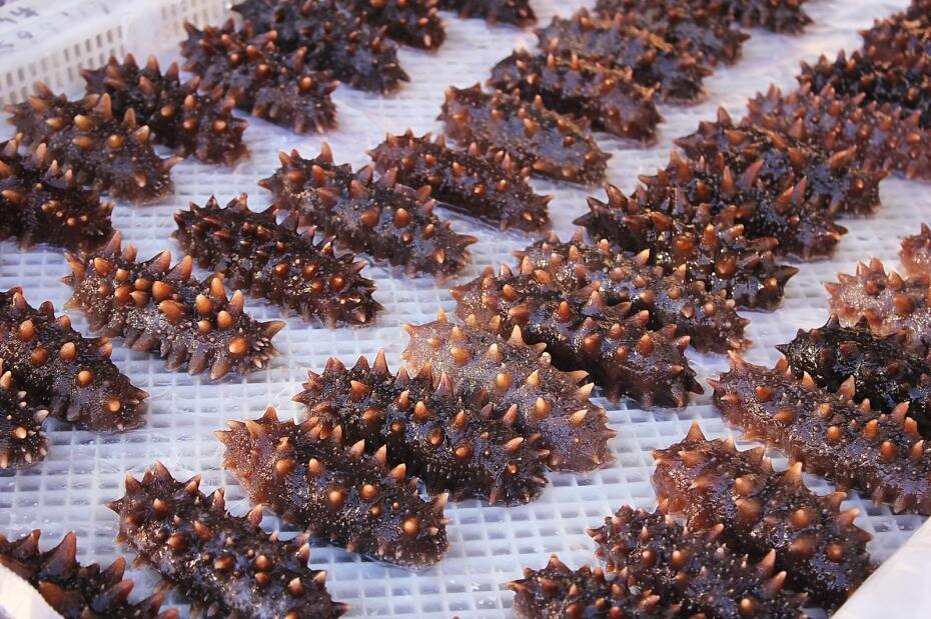    Shutterstock/FOTODOM