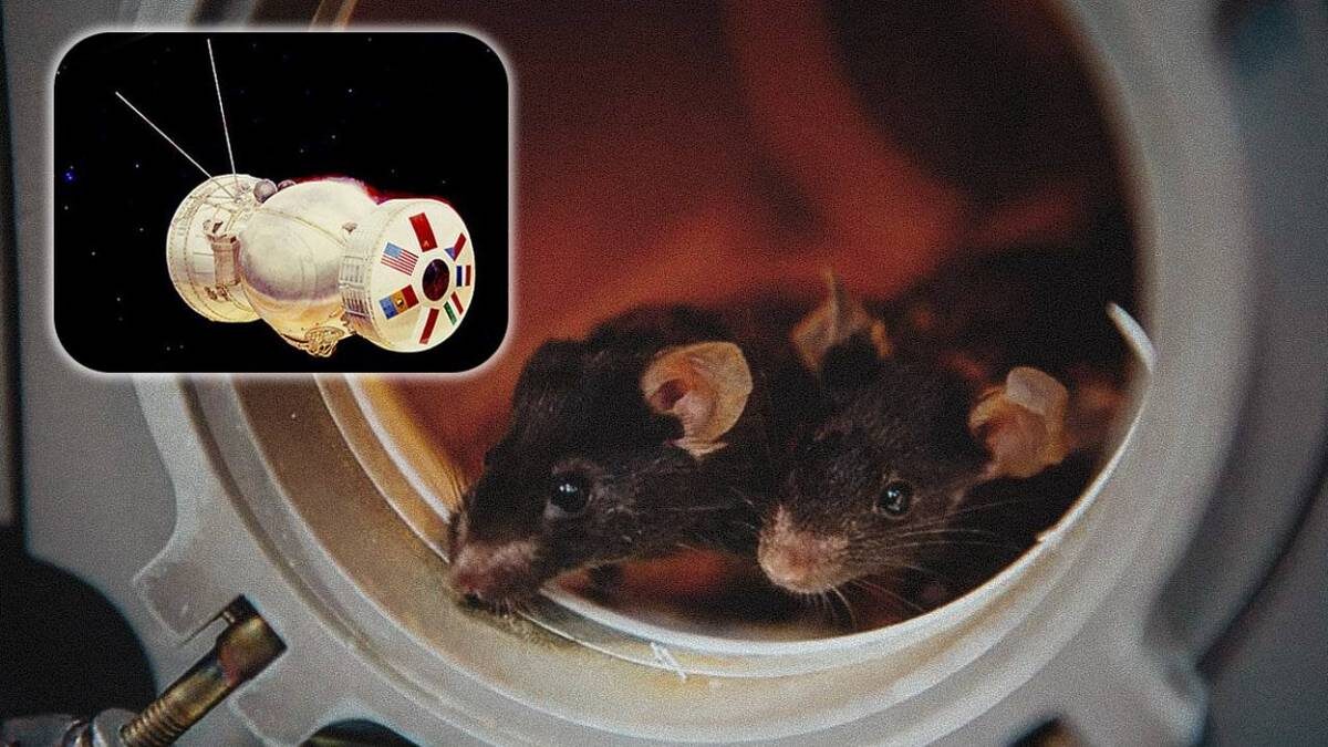    Фото: Роскосмос/Telegram