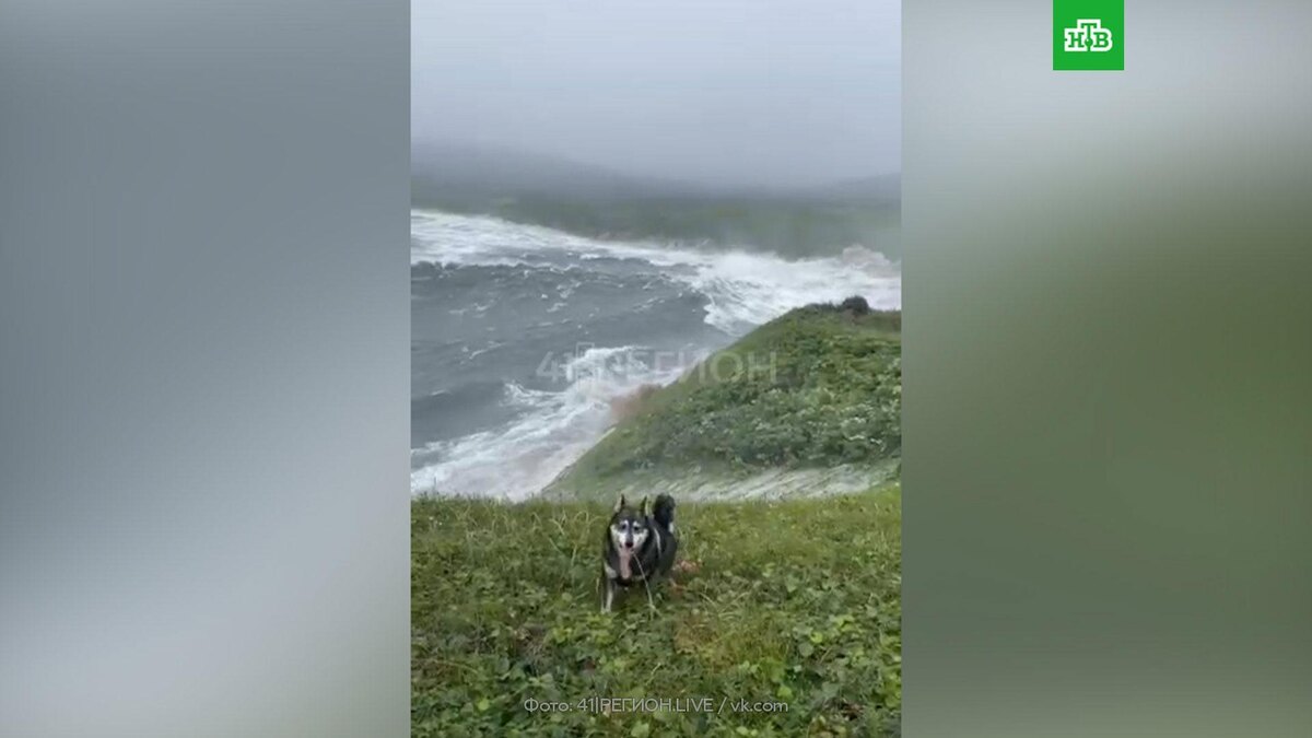    Цунами в камчатской бухте сняли на видео