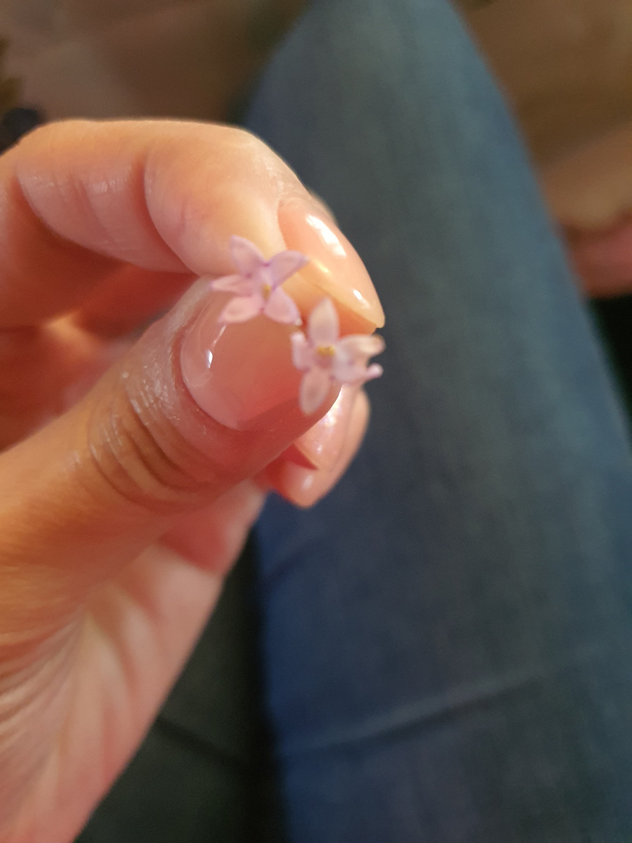 Фото из личного архива