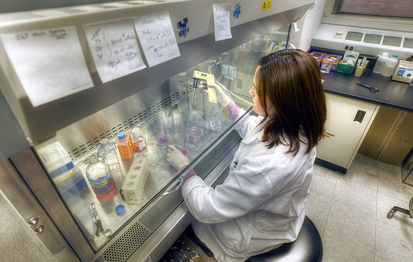 emin kuliyev/Shutterstock/FOTODOM