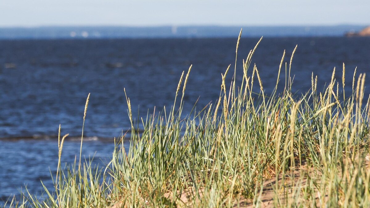    Фото: Belkin Alexey/globallookpress.com