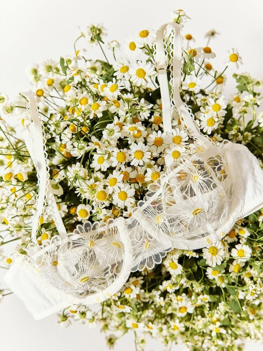    бренд белья Etam