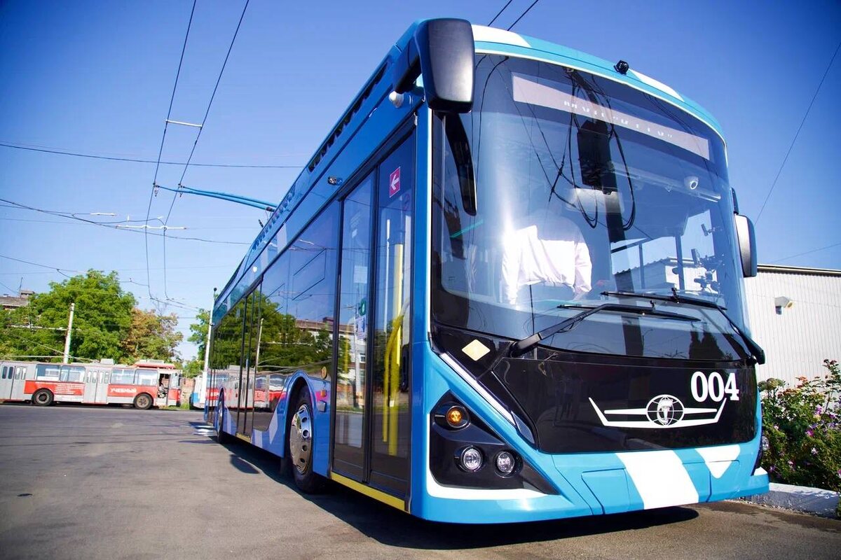     Фото: Варвара Вострокнутова