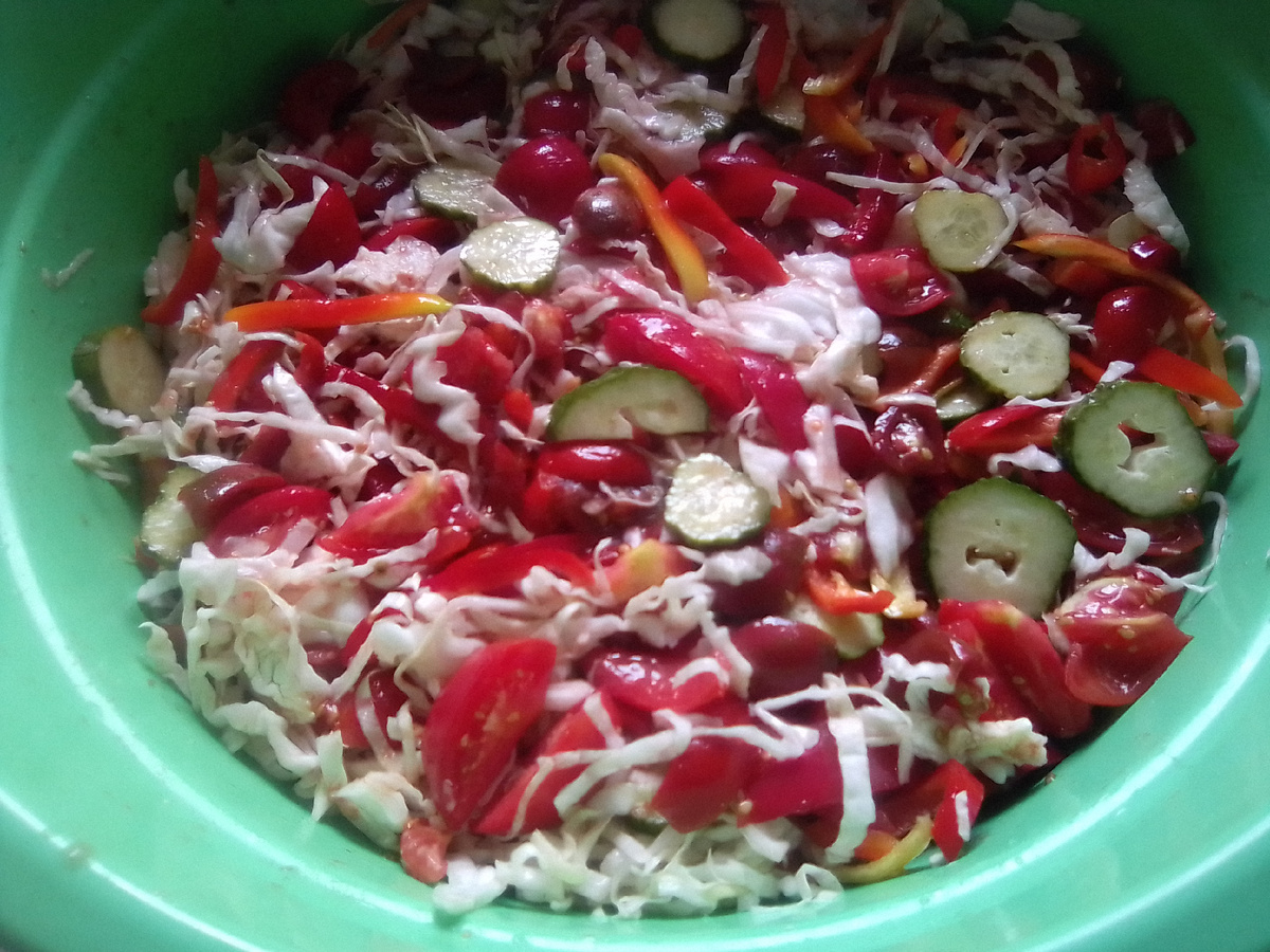 Все овощи, кроме лука и моркови.