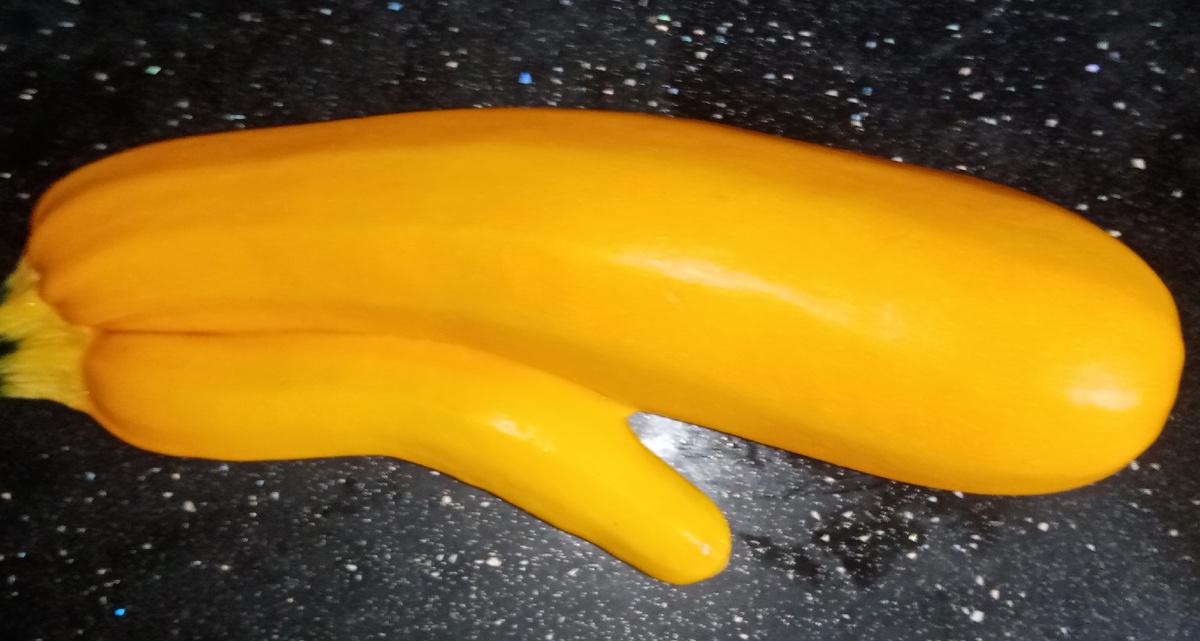 Похож на кашалота?