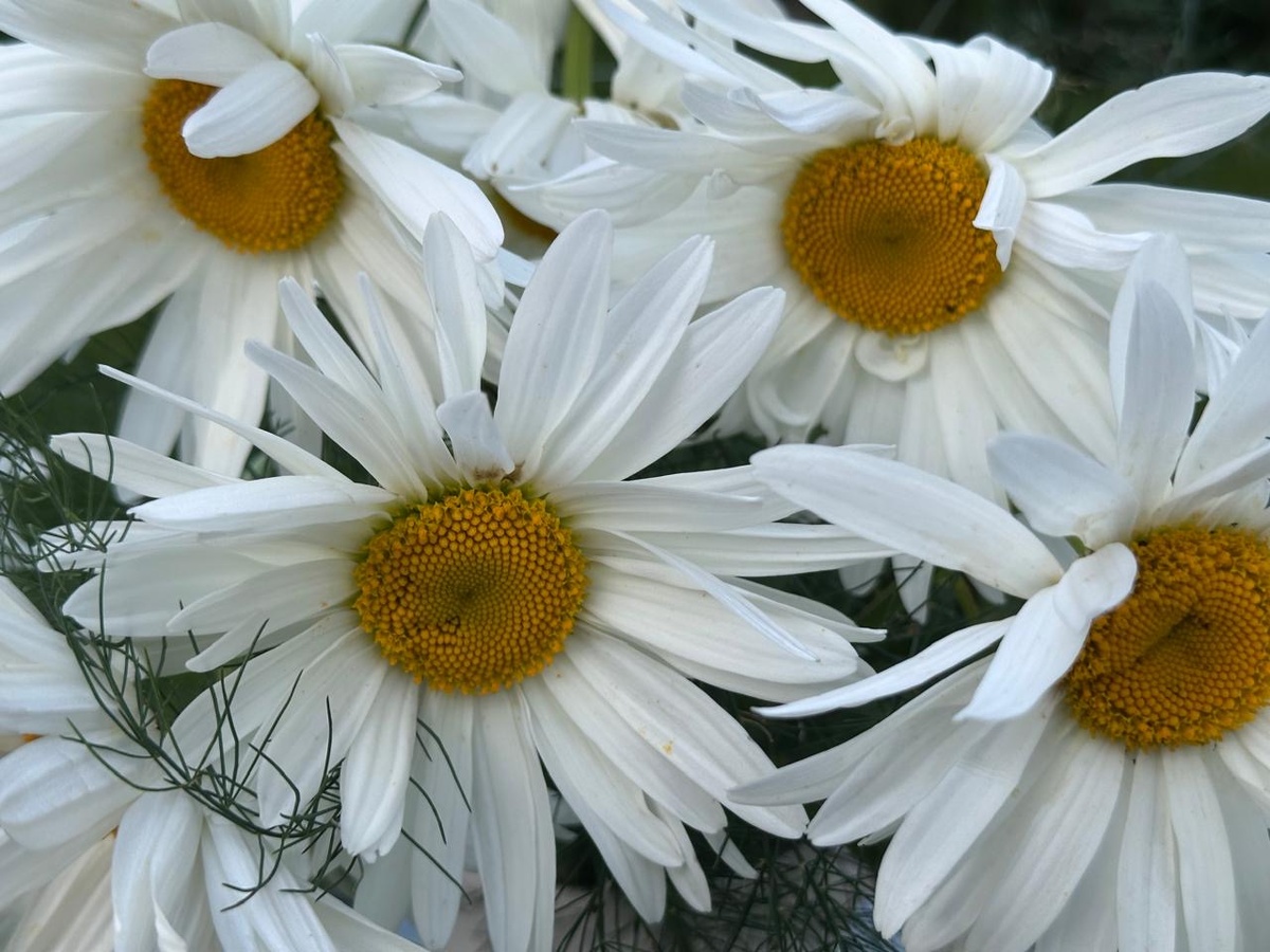 Всем ярких снов! Встретимся в постели! Улыбайтесь! Вспомните мою статью! И улыбайтесь! 