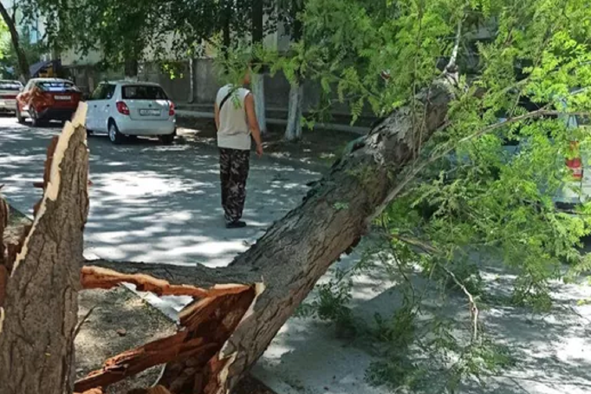    Фото: пресс-служба, источник: прокуратура Республики Крым