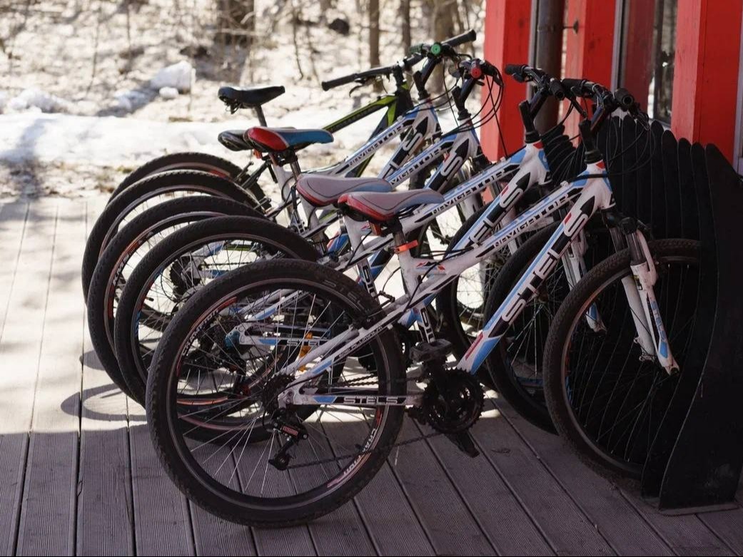 Фото: дирекция парков и скверов Казани