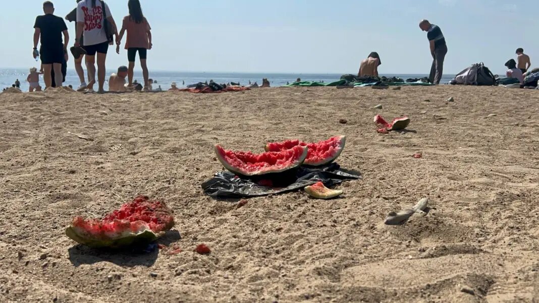    Фото: читатель Мойки78