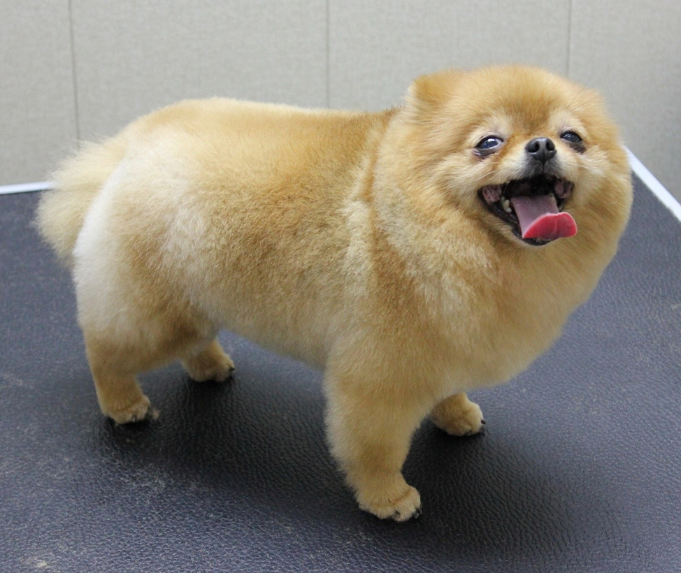 У меня есть минусы, только я об это не скажу…