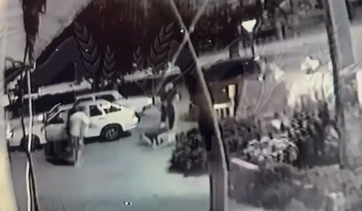    Фото t.me/kub_mash