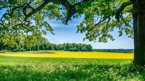 Включи лето на полную!Супер силы сезона для развития привычек и энергии