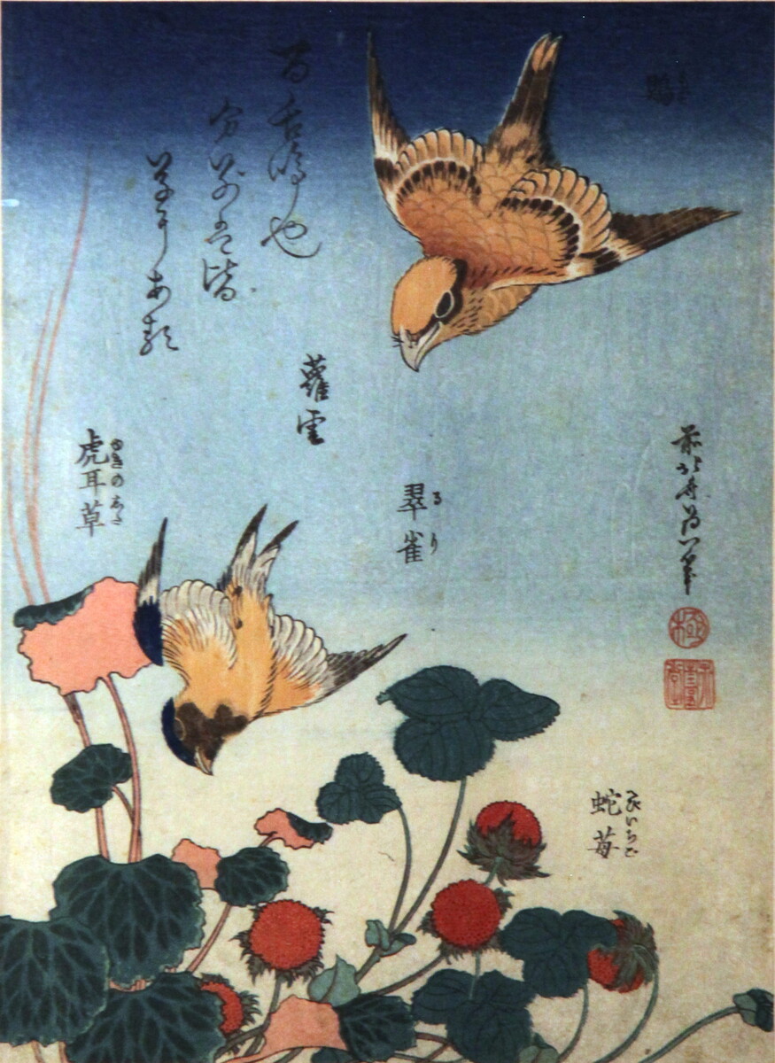 «Ласточка, Бегония и Клубничный Пирог»