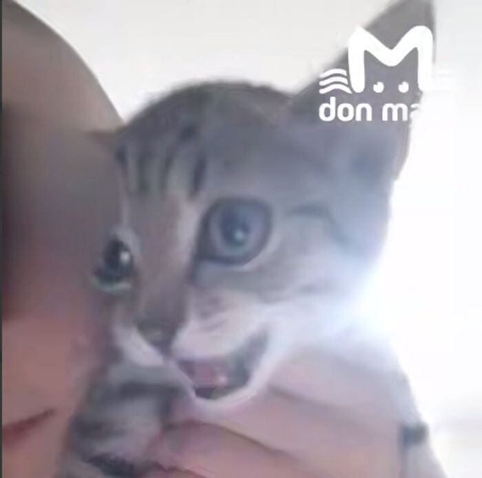 Источник фото: Don Mash