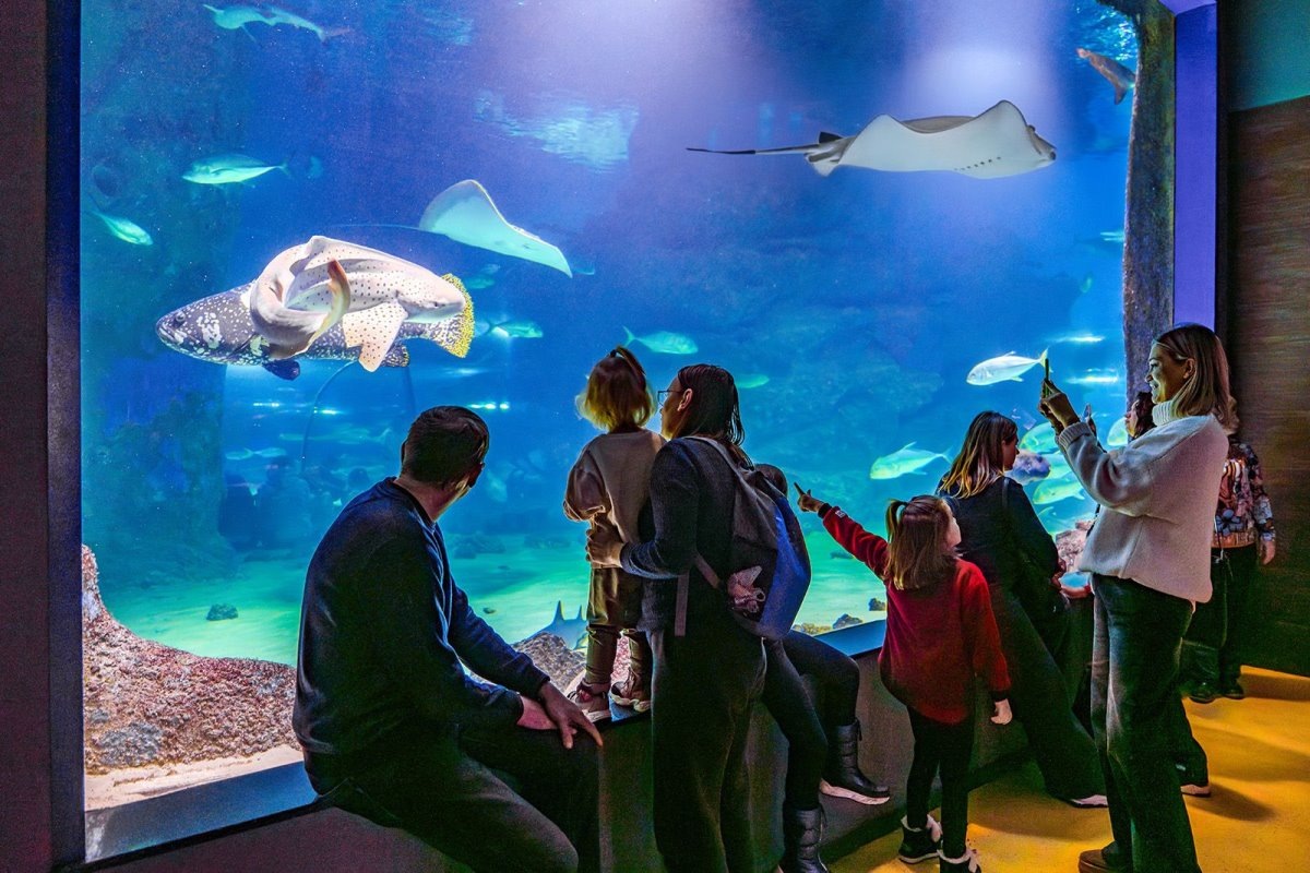    Фото: правительство Москвы, источник: mos.ru