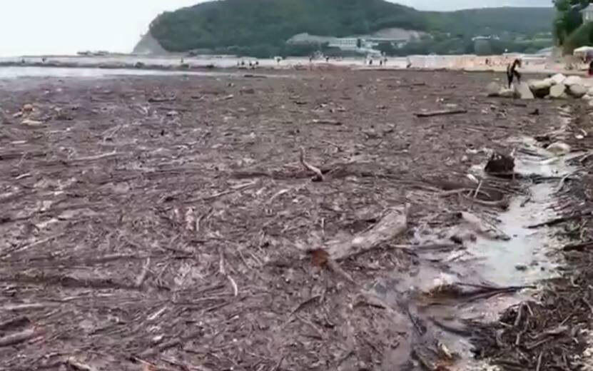  Фото: скрин из видео zlou18