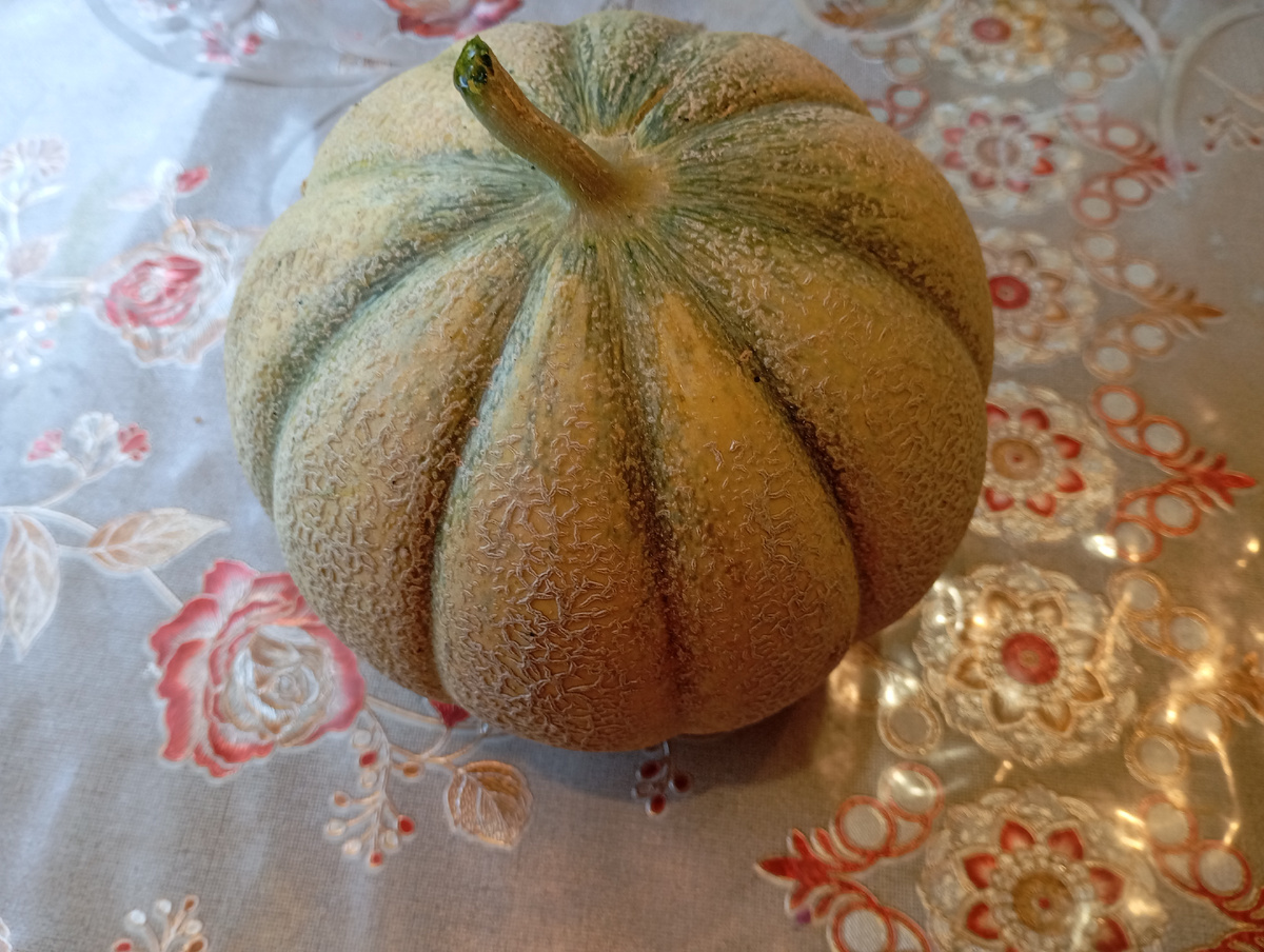 Дыня Ока фото автора.