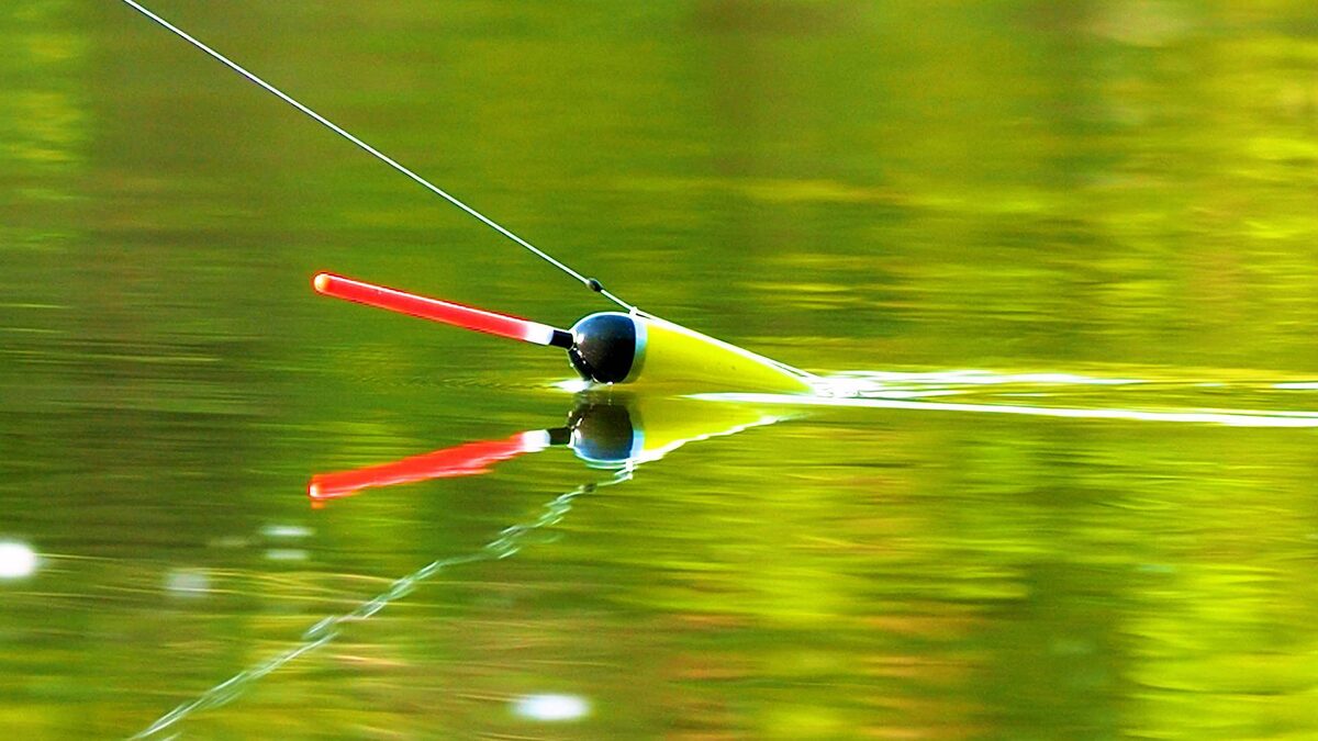 В стоячей воде поплавок вел себя предсказуемо, а вот течение заставило пересмотреть подходы