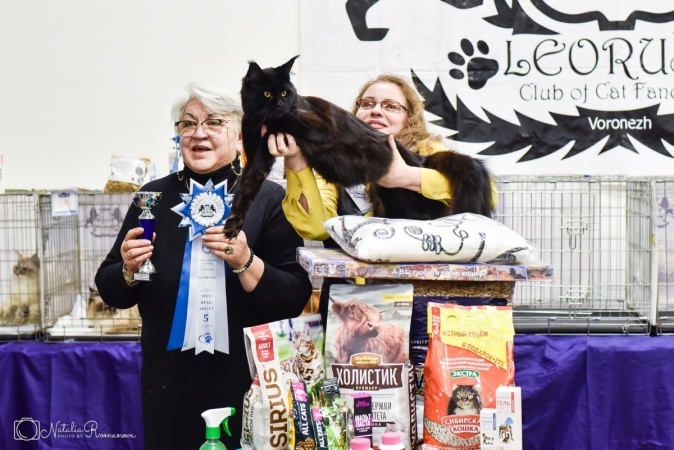 Мы с Артасом, получаем очередную медальку