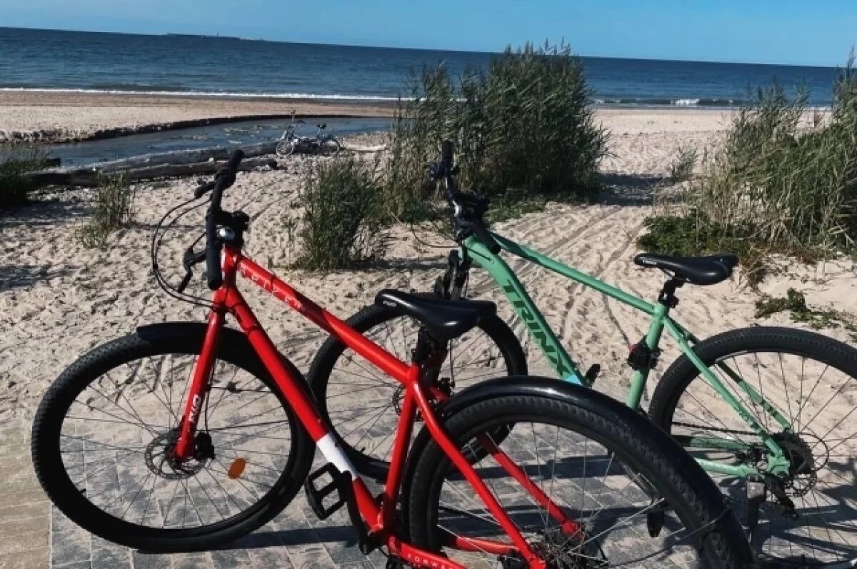    Власти рассказали, когда достроят участок велодорожки через Приморск