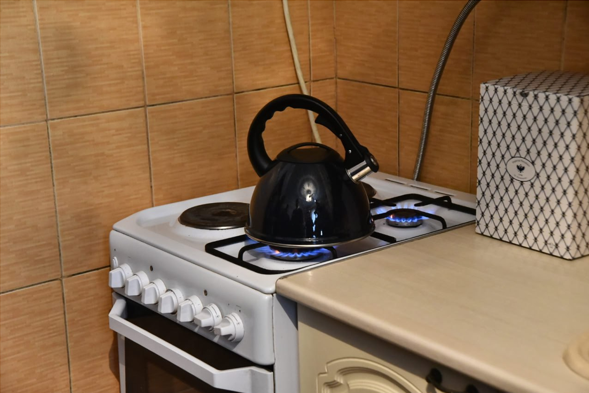    Фото: Правительство Новосибирской области, Источник: nso.ru