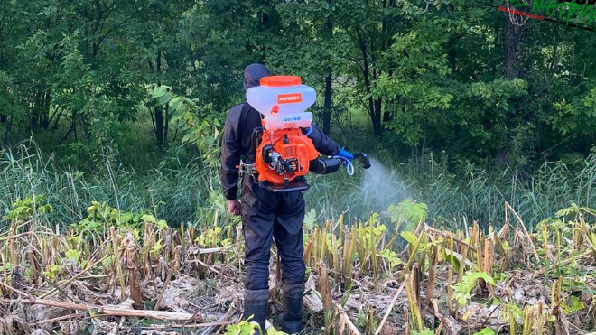 Фото: Всероссийское общество охраны природы (СПб и ЛО)