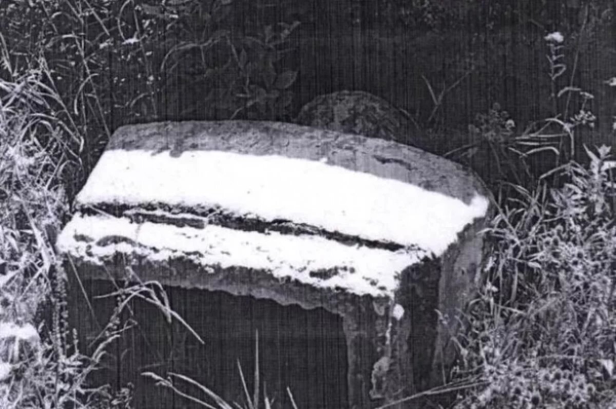    На Украине снесли последний памятник архитектору страны Владимиру Ленину.