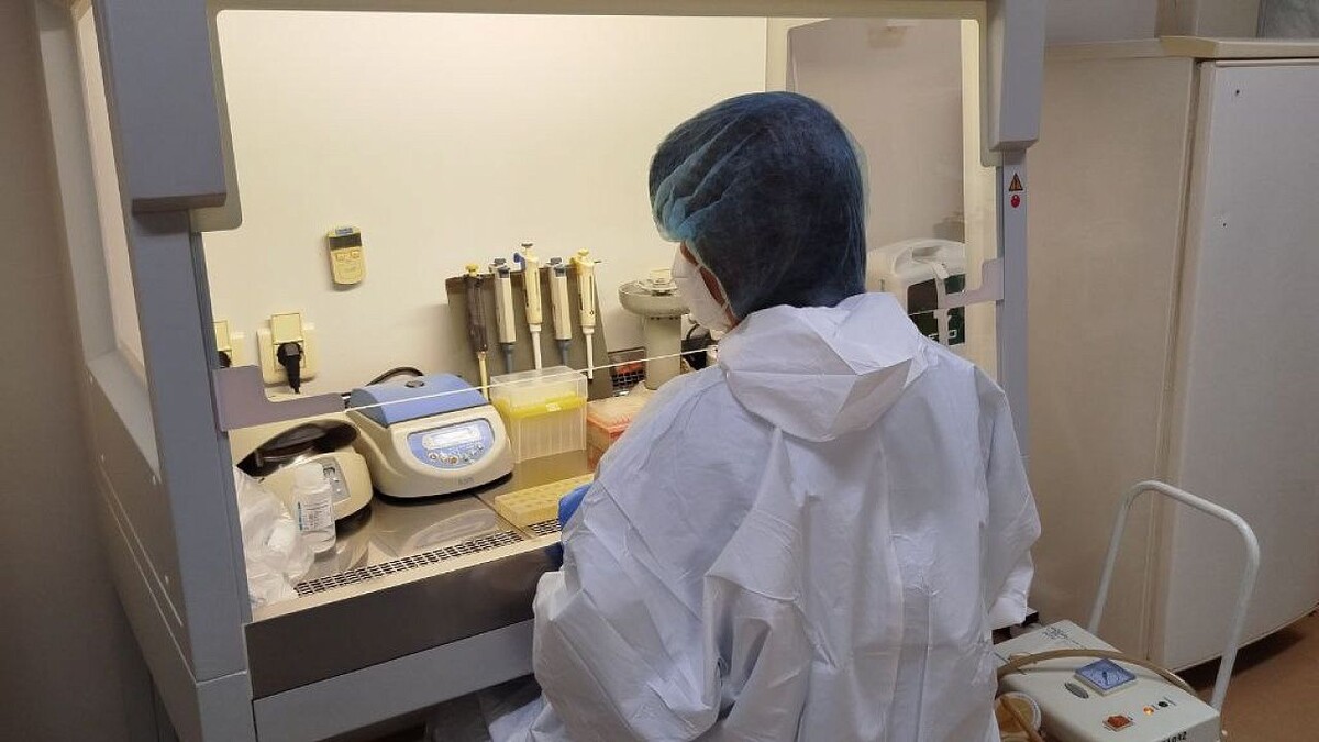    фото: Телеканал Краснодар