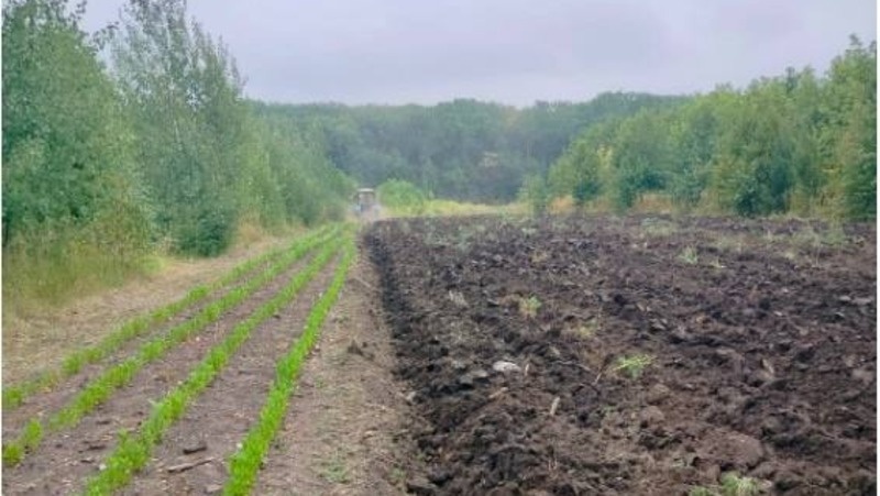      Фото: минприроды Ставрополья