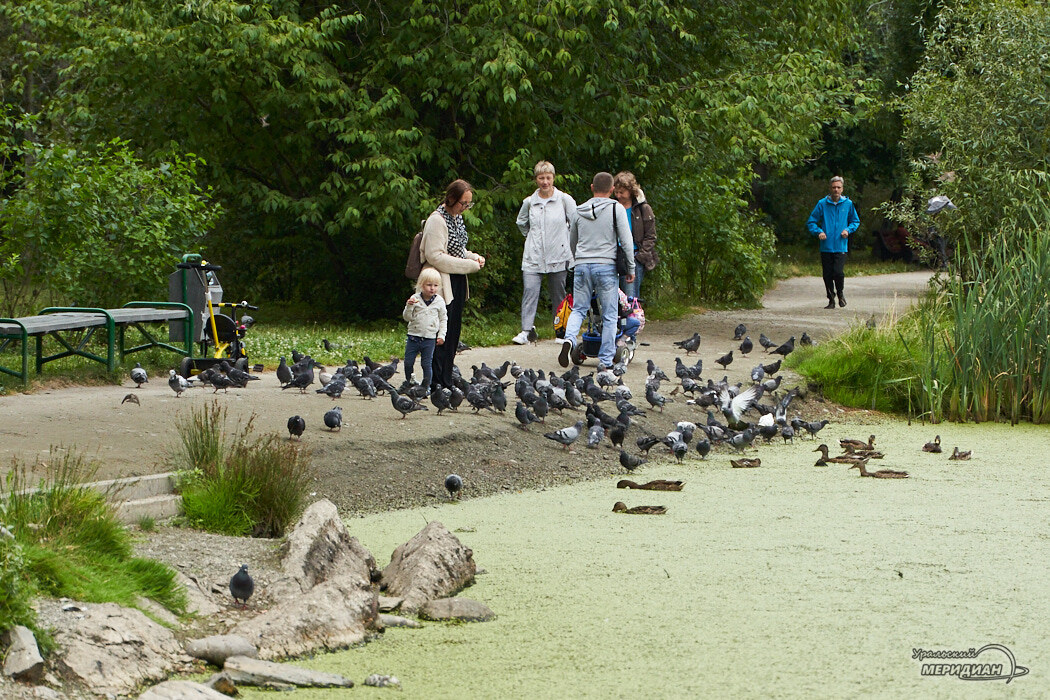    Фото Лидия Аникина © ИА «Уральский меридиан»