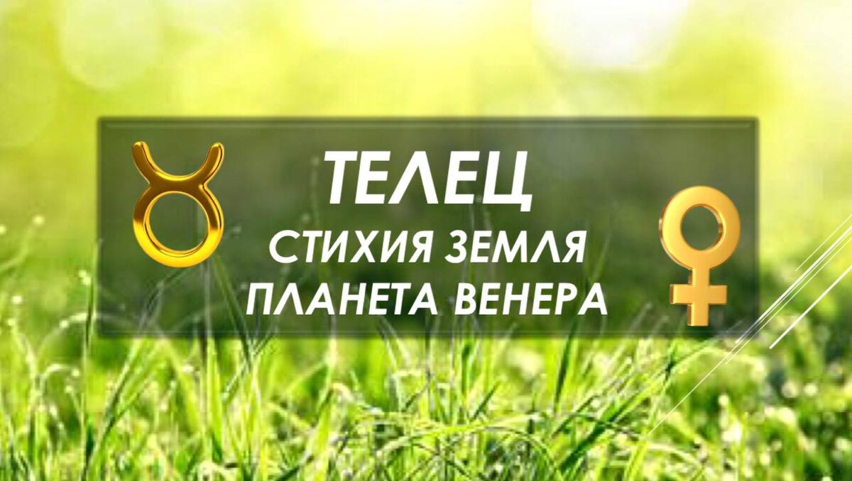 Знак зодиака Телец.