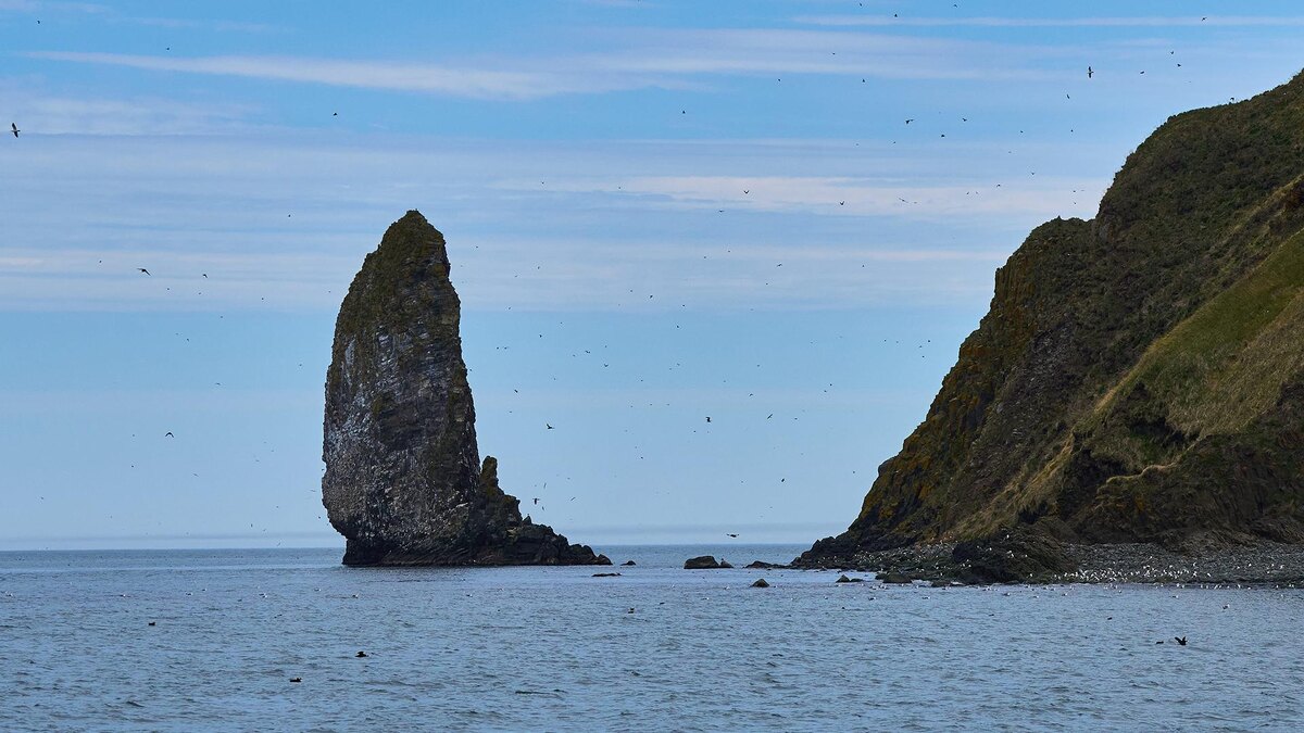 Фото: Guo Feizhou/globallookpress.com