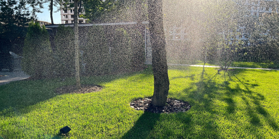 Как совместить огород и красивый сад